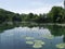 Peaceful lake with clouds and trees reflected in water