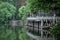 peaceful lake with trees and chinese garden