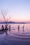 A peaceful lakeside at sunset, beautiful gently waves and leafless tree trunks. Mountains, lighting and twilight sky blurred