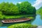 Peaceful Landscape with Lush Foliage and Tranquil Lake