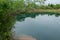 Peaceful landscape view of lake hidden in the lush nature, Albania