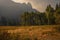 Peaceful landscape Yosemite Valley