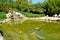 Peaceful lawn with Japanese koi fish in it. Small private garden in France