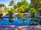 The peaceful lily pond of Stellenbosch University Botanical Garden.