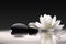 A peaceful lotus flower reflects in a tranquil pool of wate. A perfect zen concept for massage and meditation