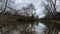 Peaceful Marshland Landscape, Winter Gloomy Day 2