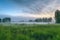 peaceful meadow in the morning with misty clouds and bird song