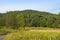 Peaceful Meadow and Round Hill