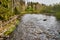 Peaceful Moody River scene on forest in spring time