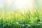 Peaceful morning dew on grass self care background