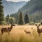 Peaceful Mountain Meadow with a Doe and Fawn Grazing