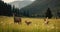 Peaceful Mountain Meadow with a Doe and Fawn Grazing