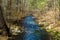 A Peaceful Mountain Trout Stream in the Blue Ridge Mountains