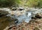 A peaceful moving water scene in Arkansas