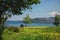 Peaceful nature. Horse grazing in a meadow overlooking the Sapanca lake