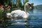 A peaceful oasis Swan with a striking red beak swims gracefully
