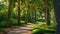 A peaceful pathway in a serene park, surrounded by towering trees and lush green grass, A grand cypress walkway in a vibrant park