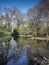 Peaceful reflection of trees in lake on clear Winter\'s day