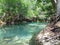 Peaceful relaxing Weeki Wachee river