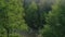 Peaceful River Aerial View through Dense Trees