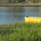 Peaceful river flow and a yellow fishing boat on the grassy shore