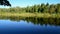 Peaceful river flowing in the forest