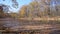 Peaceful river shore in the autumn forest.