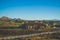 Peaceful rural landscape with vineyards in Temecula, Southern California, USA