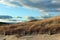 Peaceful scene at the beach, with tall sea grass and fencing at sandy shore, sunset overhead