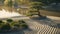 a peaceful scene depicting a traditional Japanese garden with a koi pond, meticulously raked gravel