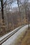 Peaceful scene of railroad tracks through the woods