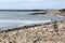 Peaceful scene of rocky shore with waves making their way to the beach