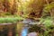 Peaceful scene of a small river or a brook