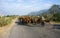 Peaceful scene of Vietnamese countryside