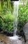 Peaceful scene of waterfall and lush greenery in rain forest garden