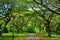 Peaceful and serene walkway at Pasir Ris park