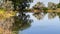 Peaceful shore of a small lake with trees reflecting on the water surface, Nebraska, United States