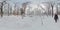 Peaceful Snowy Forest Walk in 360 Degrees