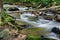 Peaceful Stream in the Blue Ridge Mountains