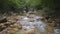 Peaceful stream flows around rocks and boulders in the wild and picturesque. HD video