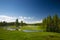 Peaceful Stream in Mountain Meadow