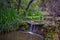 Peaceful Stream and Waterfall in Spring