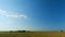 Peaceful And Sunny Landscape Of Flat Land With A Blue Sky. Cows On A Green Field And Blue Sky. Timelapse.