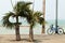 Peaceful tropical seascape with bike and palm trees. Bicycle on a beach road with nobody