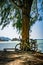 Peaceful tropical seascape with bikes and tropical tree