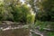 Peaceful trout stream with tree lined banks