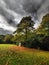 Peaceful view of lake and flowers in bloom at Biddulph Grange, Stoke-on-Trent, England