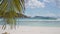 Peaceful view of palm tree slightly swaying in breeze air, sandy beach and defocused yacht ocean waves in background