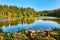 Peaceful view on pond in forest