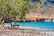 The peaceful village of Kato Zakros at the eastern part of the island of Crete with beach and tamarisks, Greece.